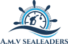 amvsealeaders.com